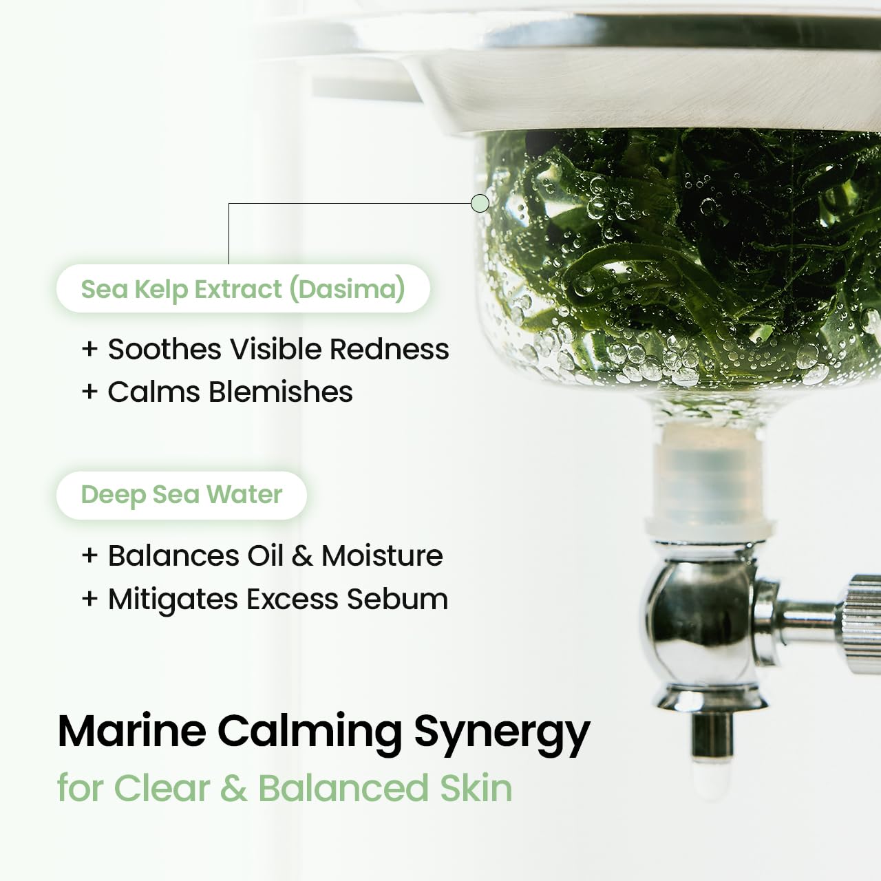 BIODANCE Bio-Collagen Real Deep Face Mask 4 Pcs | Hydrogel Overnight Mask | Pore Minimizing and Elasticity Improvement | Korean Face Mask for Glass Skin | Korean Skincare